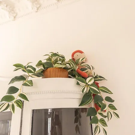 Deine Wohlfuehloase An Der Karli * לייפציג